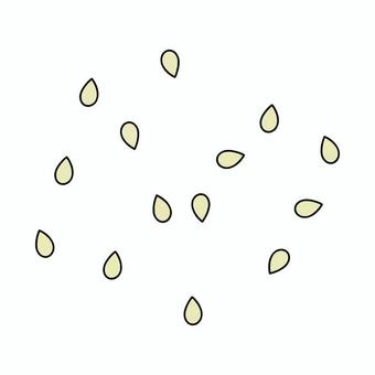 複数の黒ごま ぱらぱら,いりごま,ふりかけ,ふりかける,散らす,セサミン,セサミ,白ごまのイラスト素材