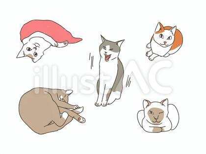 ポージングねこ2