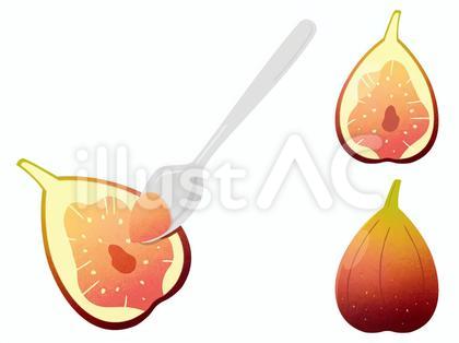 イチジク イラスト セット