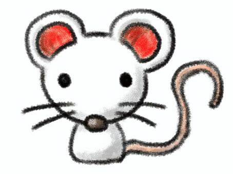 Mouse cute white edge, , JPG and PNG