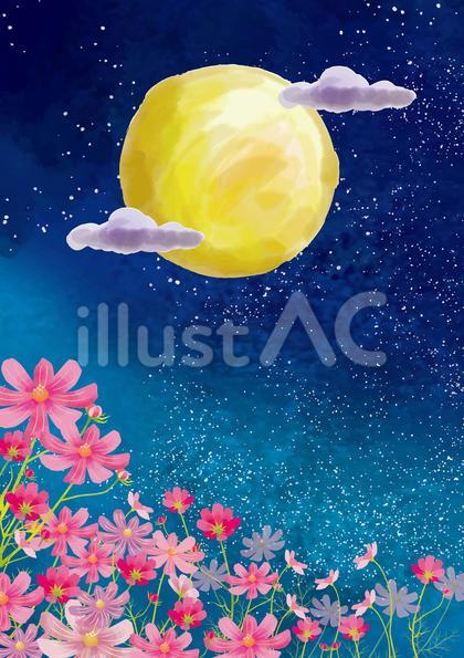 満月と秋桜