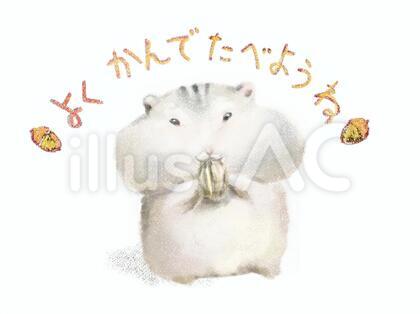 ハムスター