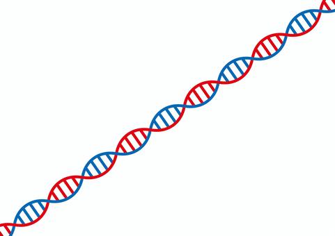 遺伝子d ゲノム,遺伝子,dna,染色体,二重螺旋,生物学,塩基配列,バイオ,科学,医学のイラスト素材