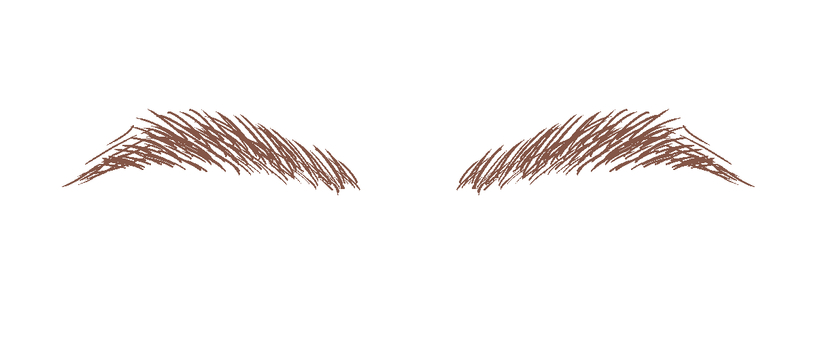 太眉（茶） 眉,毛,顔,メイク,アイブロウ,茶のイラスト素材