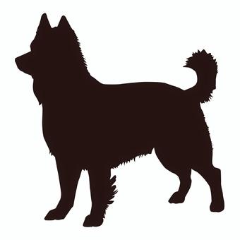動物16_柴犬 柴犬,シルエット,アイコン,イラスト,白黒,モノクロ,白背景,日本犬,犬,動物のイラスト素材
