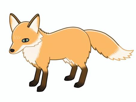 キツネ キツネ,動物,野生,フサフサ,茶色のイラスト素材