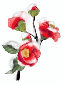 Snow-covered camellia flower (twig), JPG and PNG Snow-covered camellia flower (twig), , JPG and PNG