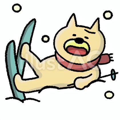 スキーでこける猫