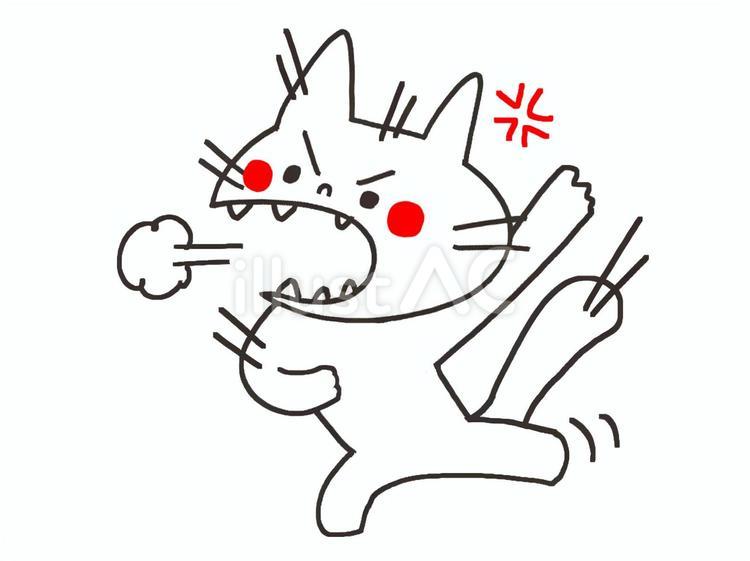 怒る猫 猫,怒る,激怒のイラスト素材
