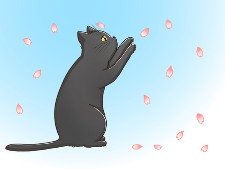 桜で遊ぶ猫 猫,桜,手描き,花びら,春,遊び,黒のイラスト素材