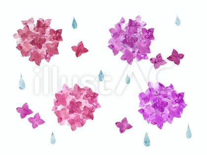 きれいな紫陽花のイラストセット