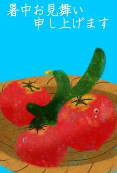 Illustration, tomato, cucumber, summer greeting card, 