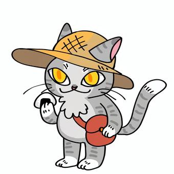 Illustration, cat, excursion, animal, 