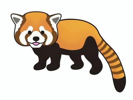 Illustration, lesser panda, tiny, awesome, 