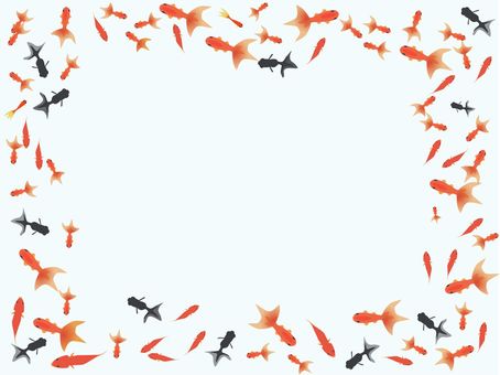 金魚　フレーム 金魚,魚,水中,枠,フレーム,和金,黒出目金,コメットのイラスト素材