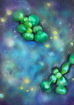 幻想的なホテイアオイの池と光の粒 ホテイアオイ,水草,池,水面,水,植物,緑,光の粒,生物発光,油絵のイラスト素材