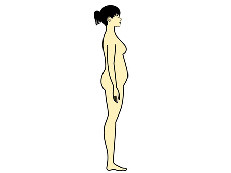 体型 体型,ダイエット,身体,体,ぽっちゃり,メタボ,メタボリック,脂肪,皮下脂肪,贅肉のイラスト素材