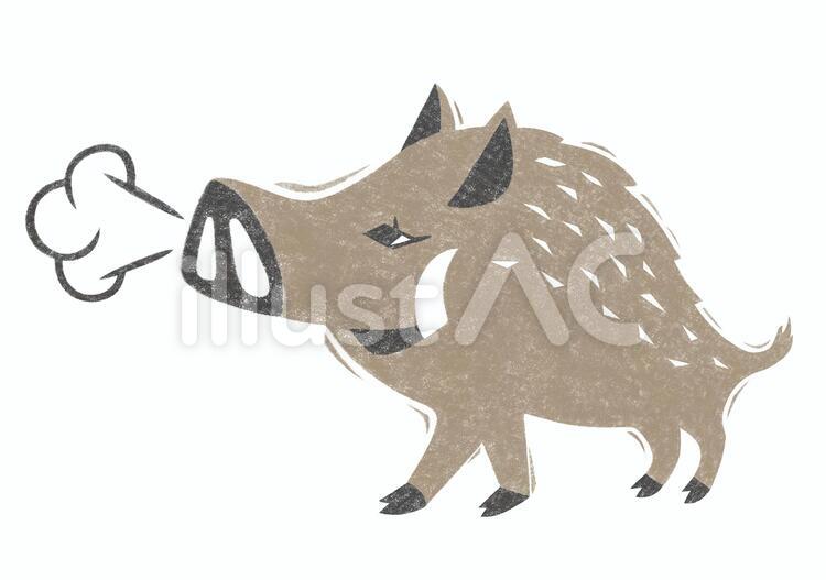 イノシシ イノシシ,干支,亥のイラスト素材