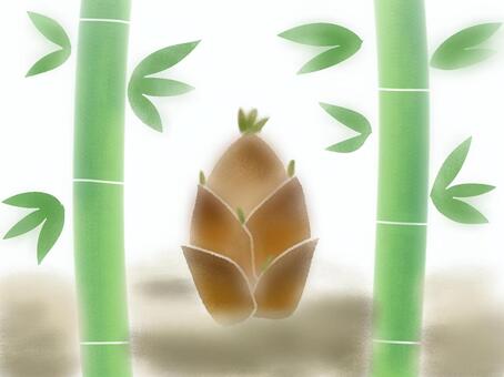 Bamboo shoots, bamboo grass, bamboo, bambooshoot, JPG