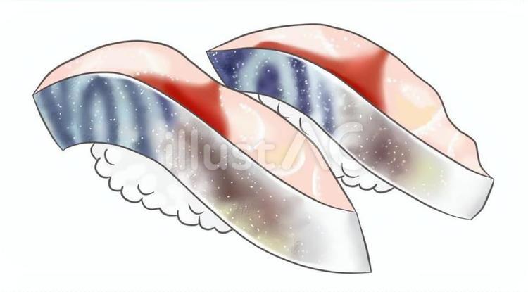 寿司ネタのイラスト　しめ鯖 しめ鯖,寿司,握りのイラスト素材