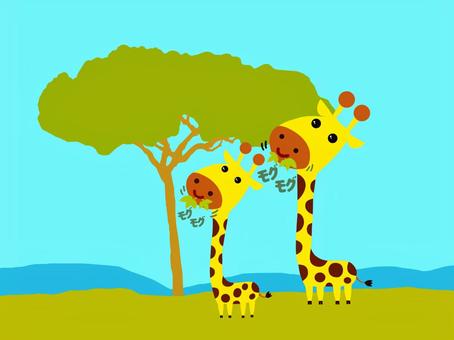 Giraffe's mogumogu time, JPG Giraffe's mogumogu time, , JPG