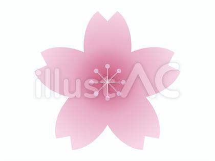 ピンクの桜の花びらのイラスト