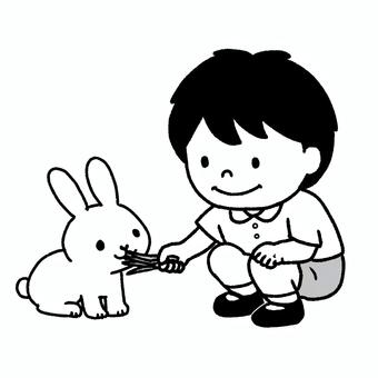 うさぎにエサをあげる男の子 子供,男の子,少年,幼児,児童,小学生,うさぎ,小動物,生き物,餌のイラスト素材