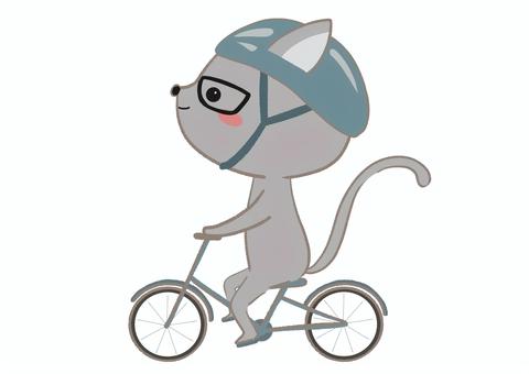 Cat wearing a helmet and riding a bicycle, , JPG and PNG