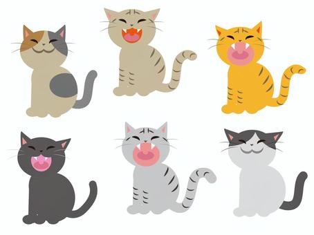 6 types of cats, , JPG, PNG and AI