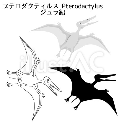 プテロダクティルス 少しリアル寄り