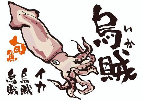 旬魚_烏賊 イカ,旬,手書き,筆文字,海鮮のイラスト素材