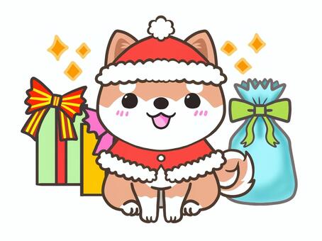 サンタクロース柴犬 犬,柴犬,赤柴,クリスマス,プレゼントのイラスト素材
