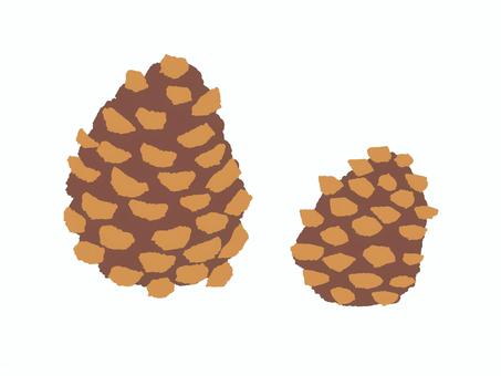 松ぼっくり 秋,松ぼっくり,木の実,森,マツ,実,9月,10月,11月,季節のイラスト素材