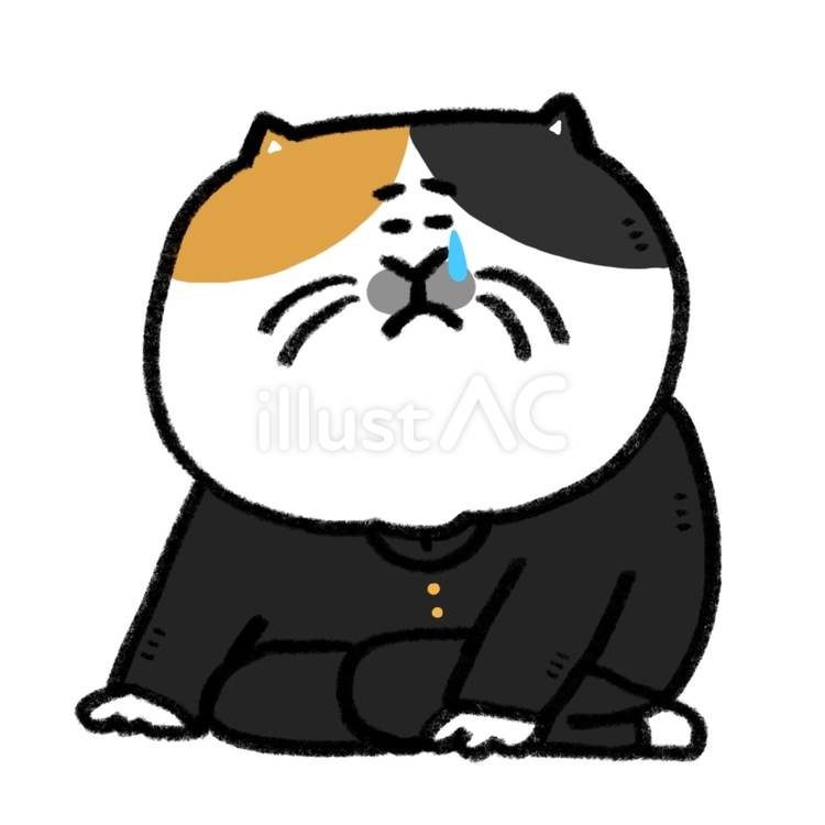 泣く猫学生（ミケ） 猫,三毛猫,動物のイラスト素材
