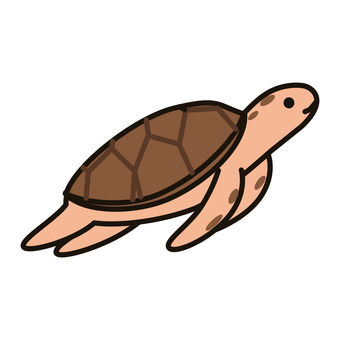 海亀 海亀,海,生き物,動物,茶色のイラスト素材