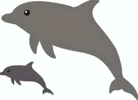イルカの親子 イルカ,親子,動物,水族館,海,海豚,ヒーリング,芸,マリン,水泳のイラスト素材