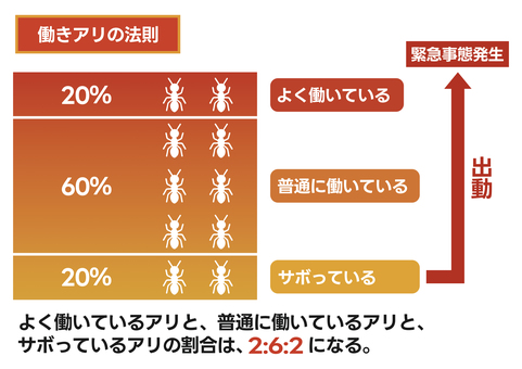 【A4印刷】　働きアリの法則　赤 働きアリの法則,マネジメン,人材育成,a4,印刷,シンプル,白背景,透過のイラスト素材