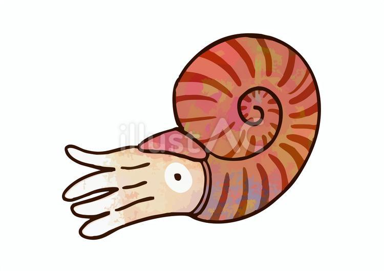 手描き　ゆるいアンモナイト1 パステル,カラー,手描きのイラスト素材