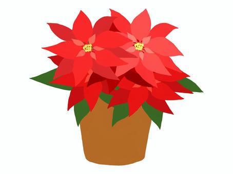 鉢入りポインセチア ポインセチア,クリスマス,花,赤,鉢のイラスト素材