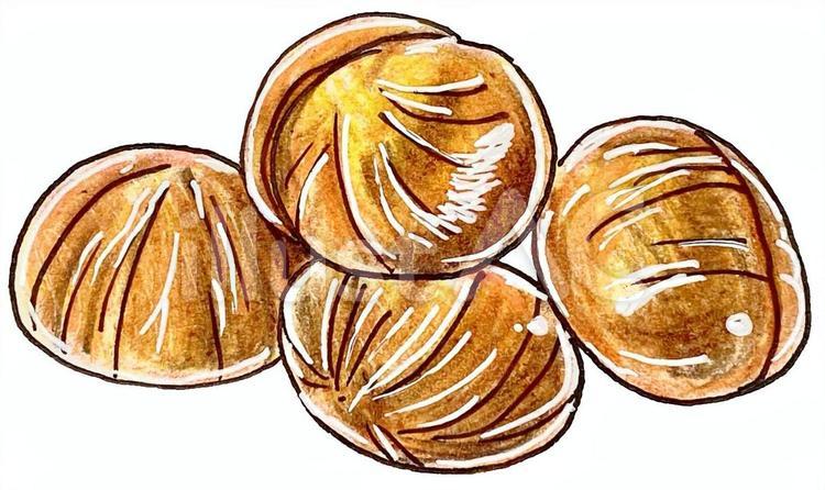 むき栗 むき栗,食材,おやつのイラスト素材