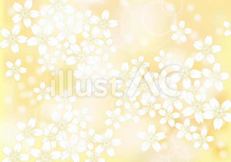 さくら咲く54 花,桜,春のイラスト素材