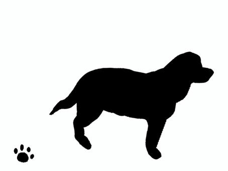 犬。。 犬,吠える,ペット,鳴く,シルエット,動物のイラスト素材