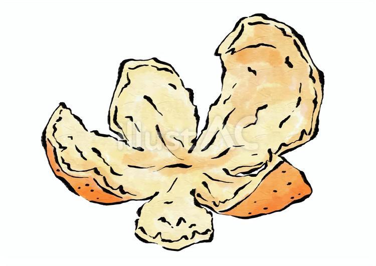 みかんのむいた皮（水墨） みかん,皮,果物のイラスト素材