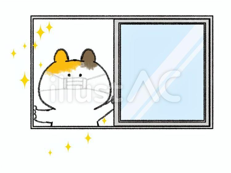 窓を開けて換気する三毛猫（マスクあり） 三毛猫,猫,にゃんこのイラスト素材