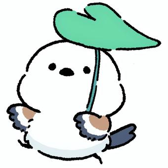 シマエナガ_葉っぱの傘_01 シマエナガ_葉っぱの傘_01 シマエナガ,鳥,動物のイラスト素材
