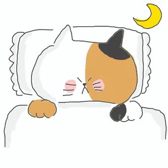寝る三毛猫ちゃん♪ かわいい,寝る,就寝,睡眠,眠る,夜,布団,まくら,ねこ,三毛猫のイラスト素材