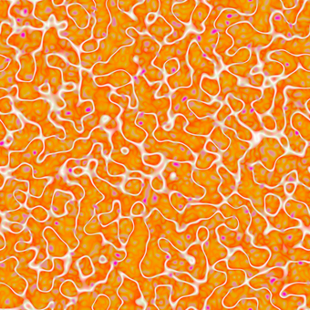 オレンジの迷路 神経,細胞,模様,回路,オレンジ,白,紫,有機物,生命,迷路のイラスト素材