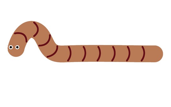 Earthworm, JPG and PNG Earthworm, earthworm, insect, fishing, JPG and PNG