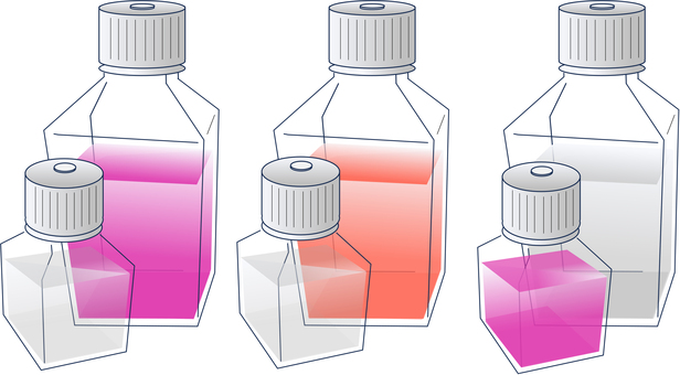 Bottles04 細胞,培養,培養液,実験,研究,ボトルのイラスト素材