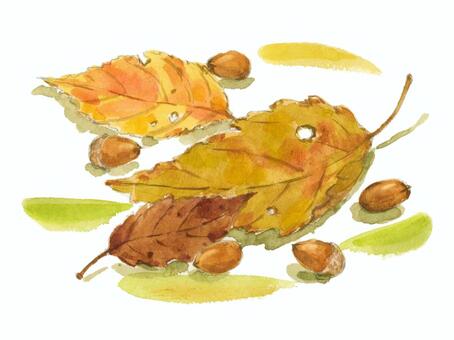 ドングリと落ち葉 ドングリ,落ち葉,手書きのイラスト素材